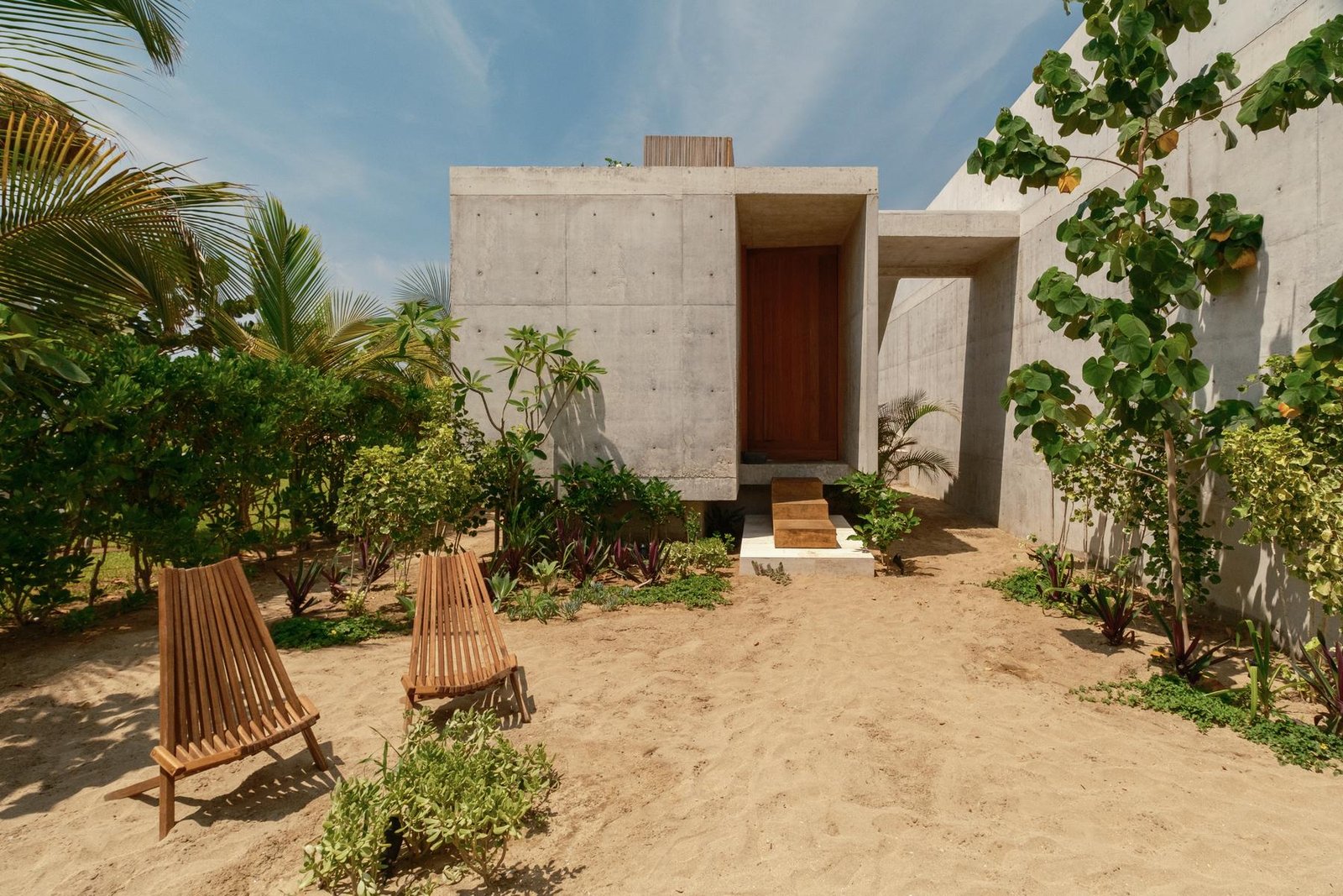 Jardín con palmeras